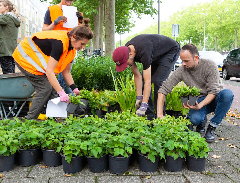 Planten uitdelen 1024x780