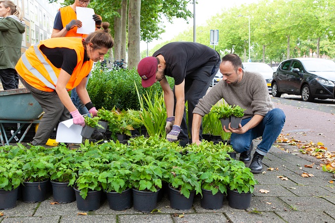 Planten uitdelen