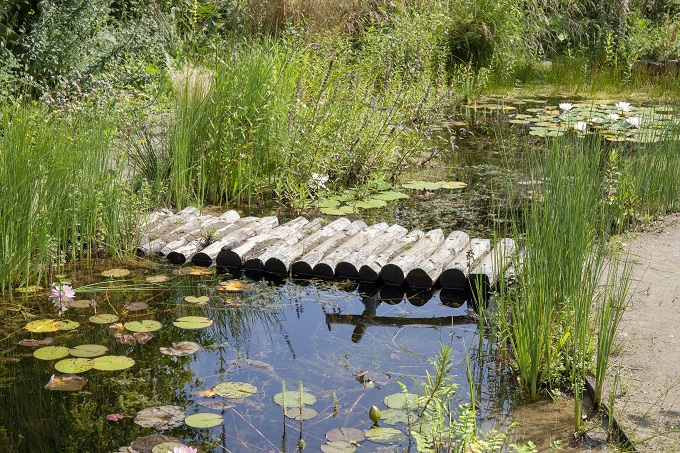 Natuurlijke waterloop