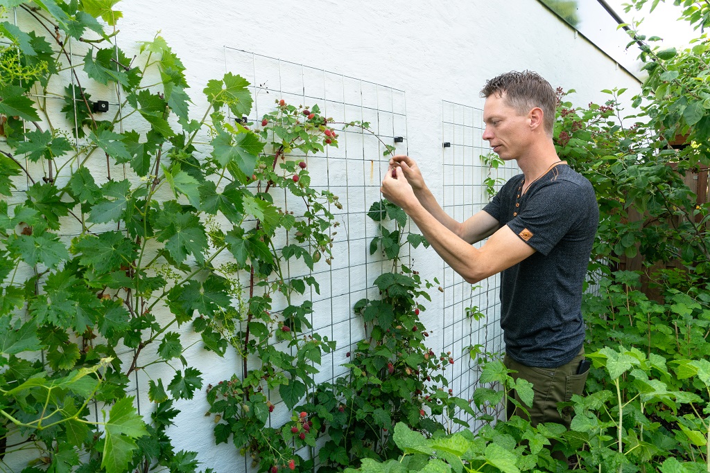 Groen tegen muur verkoeling