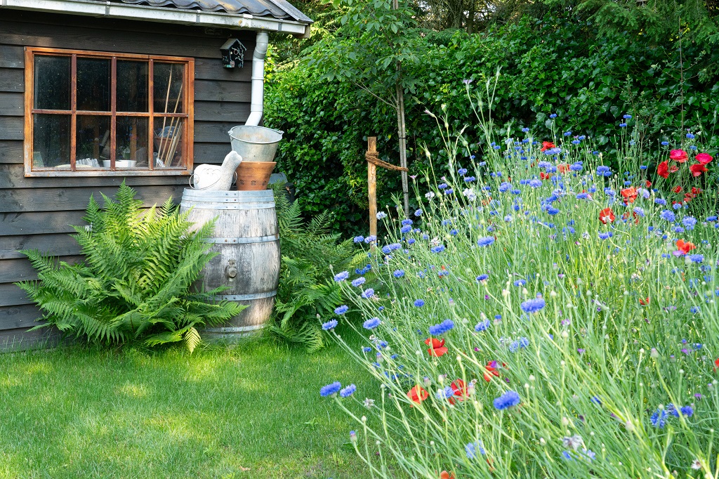 Regenton in je tuin afkoppelen