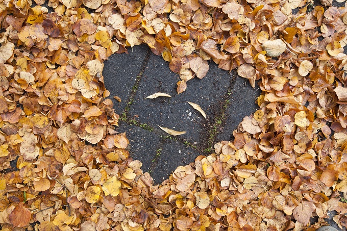 Herfstbladeren hart geel